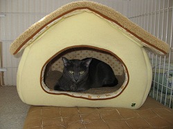 IMG_0240.jpg
