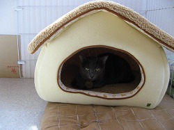 IMG_0237.jpg