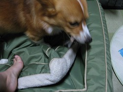 IMG_0823.jpg