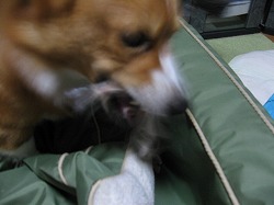 IMG_0824.jpg
