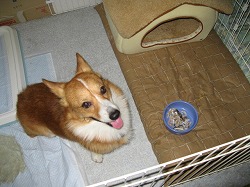 IMG_1085.jpg