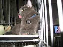 IMG_1076.jpg
