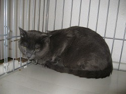 IMG_1183.jpg