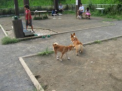 IMG_1202.jpg