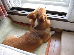 IMG_0139.jpg