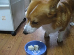 IMG_1720.jpg