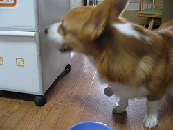 IMG_1727.jpg