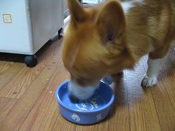 IMG_1729.jpg