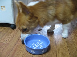 IMG_1732.jpg