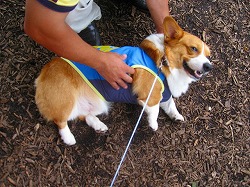 IMG_2211.jpg