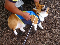 IMG_2212.jpg