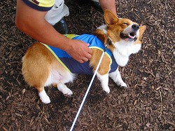 IMG_2213.jpg
