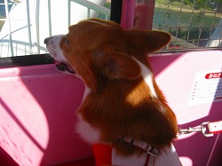 IMG_2395.jpg