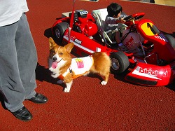 IMG_2423.jpg