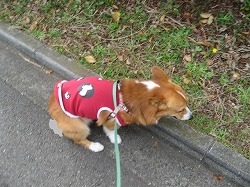 IMG_2608 修正.jpg