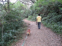 IMG_2622.jpg
