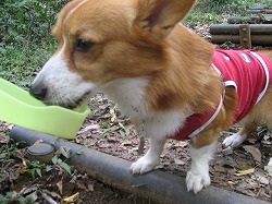 IMG_2628.jpg