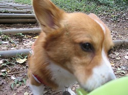 IMG_2631.jpg