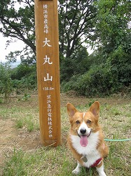 IMG_2638.jpg