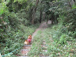 IMG_2640.jpg