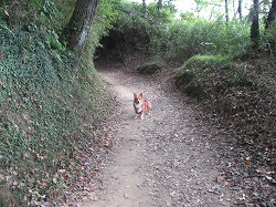 IMG_2649.jpg
