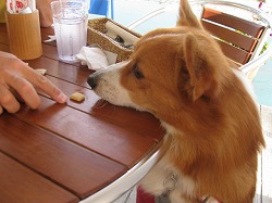 IMG_2663.jpg