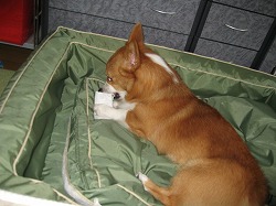 IMG_0847.jpg