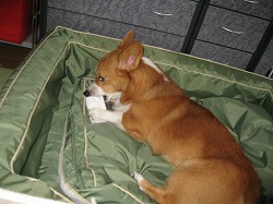 IMG_0848.jpg