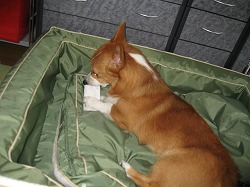 IMG_0849.jpg