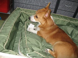 IMG_0850.jpg