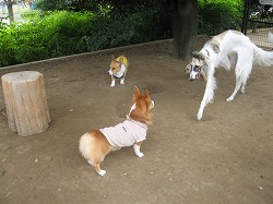 IMG_2810.jpg