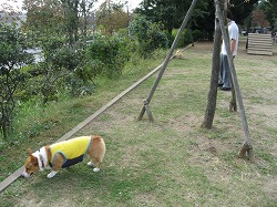 IMG_2822.jpg