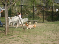 IMG_2830.jpg