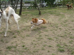 IMG_2837.jpg
