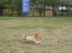 IMG_2840.jpg