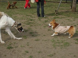 IMG_2849.jpg