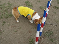 IMG_2852.jpg