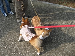 IMG_2981.jpg