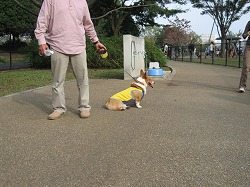 IMG_2985.jpg
