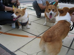 IMG_2998.jpg