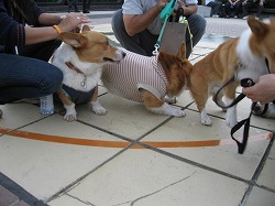 IMG_3000.jpg