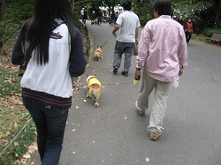 IMG_3112.jpg