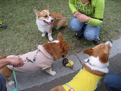 IMG_3119.jpg