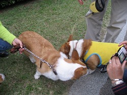 IMG_3122.jpg