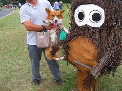 IMG_3131.jpg