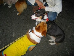 IMG_3138.jpg