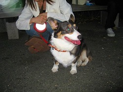 IMG_3141.jpg
