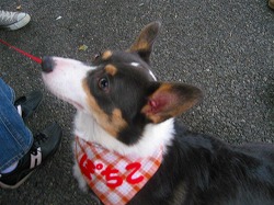 IMG_3160.jpg