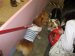 IMG_3367.jpg