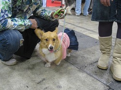 IMG_3374.jpg